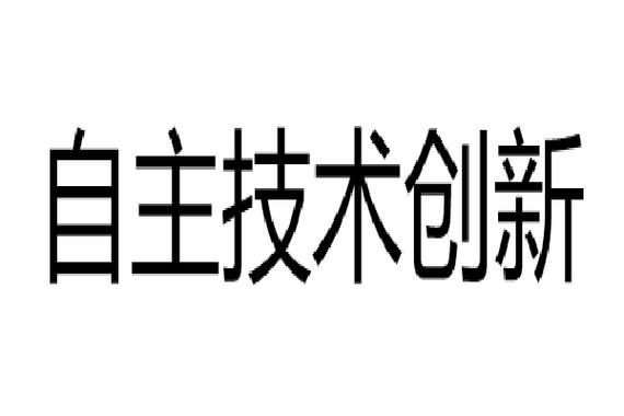 创造出具有独立知识产权,核心技术和市场竞争力的新技术,新产品,新